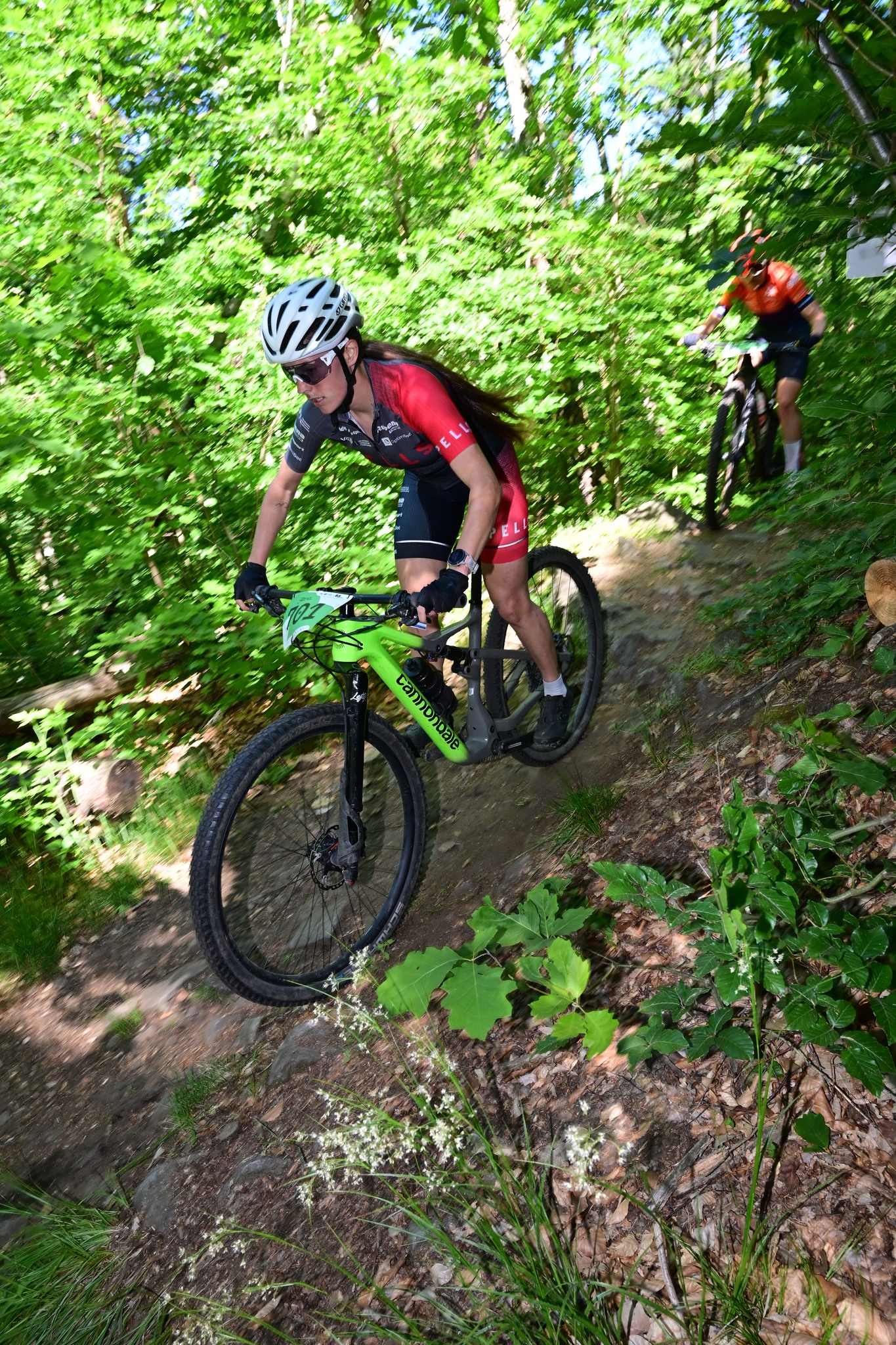Bild 6: Mtb6
