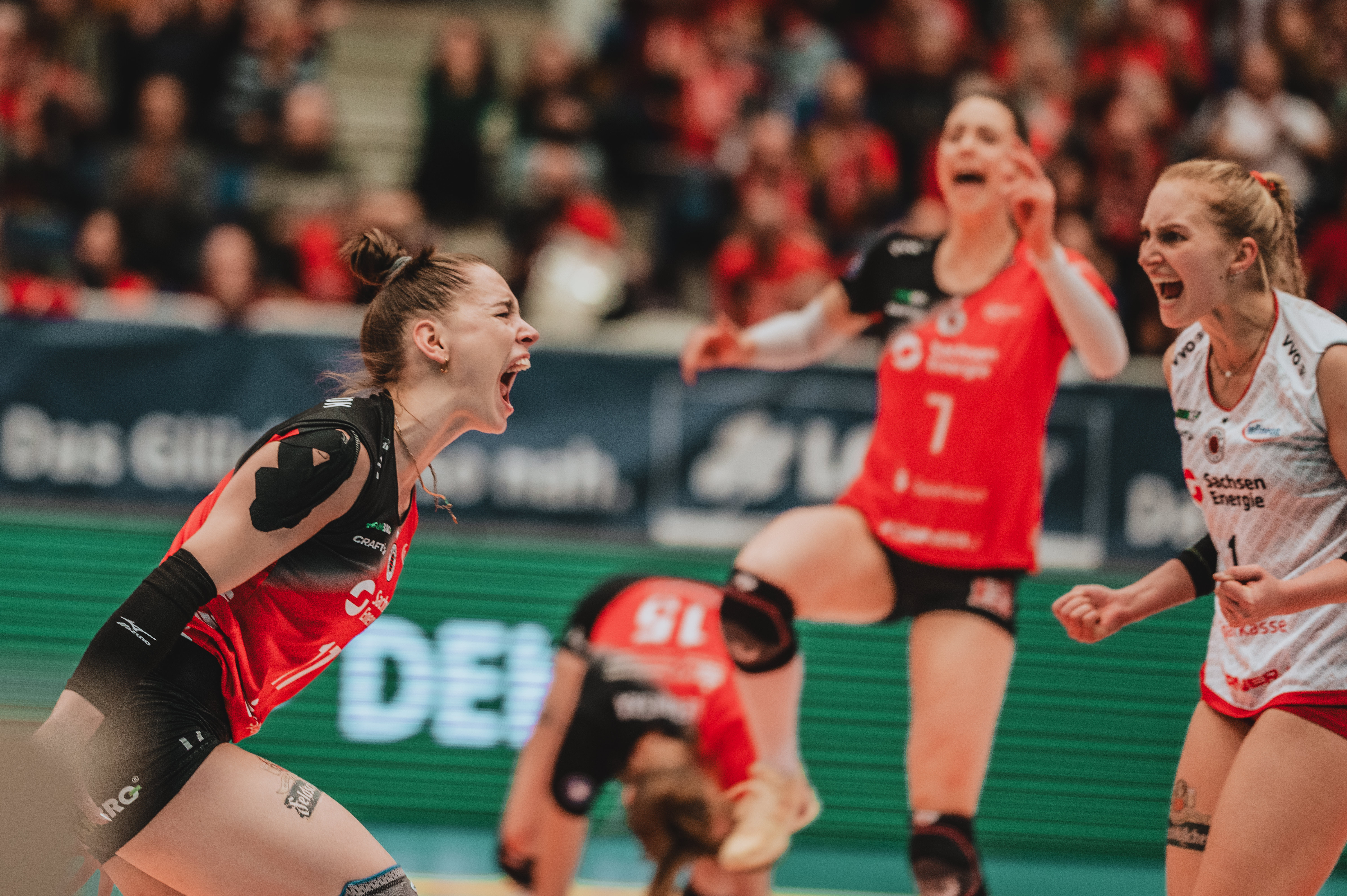 1. Volleyball Bundesliga