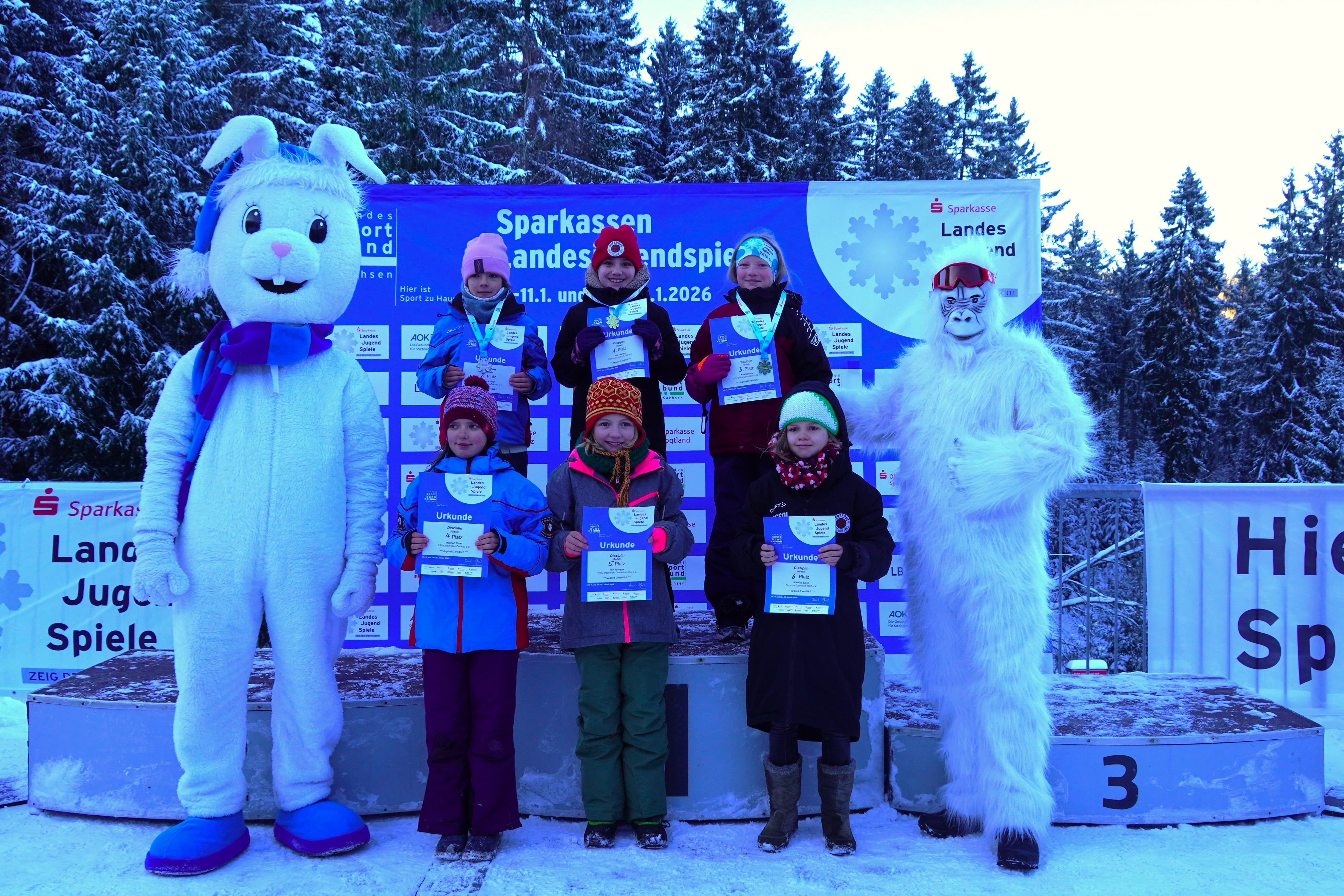 Bild 6: IMG 20260111 WA0137