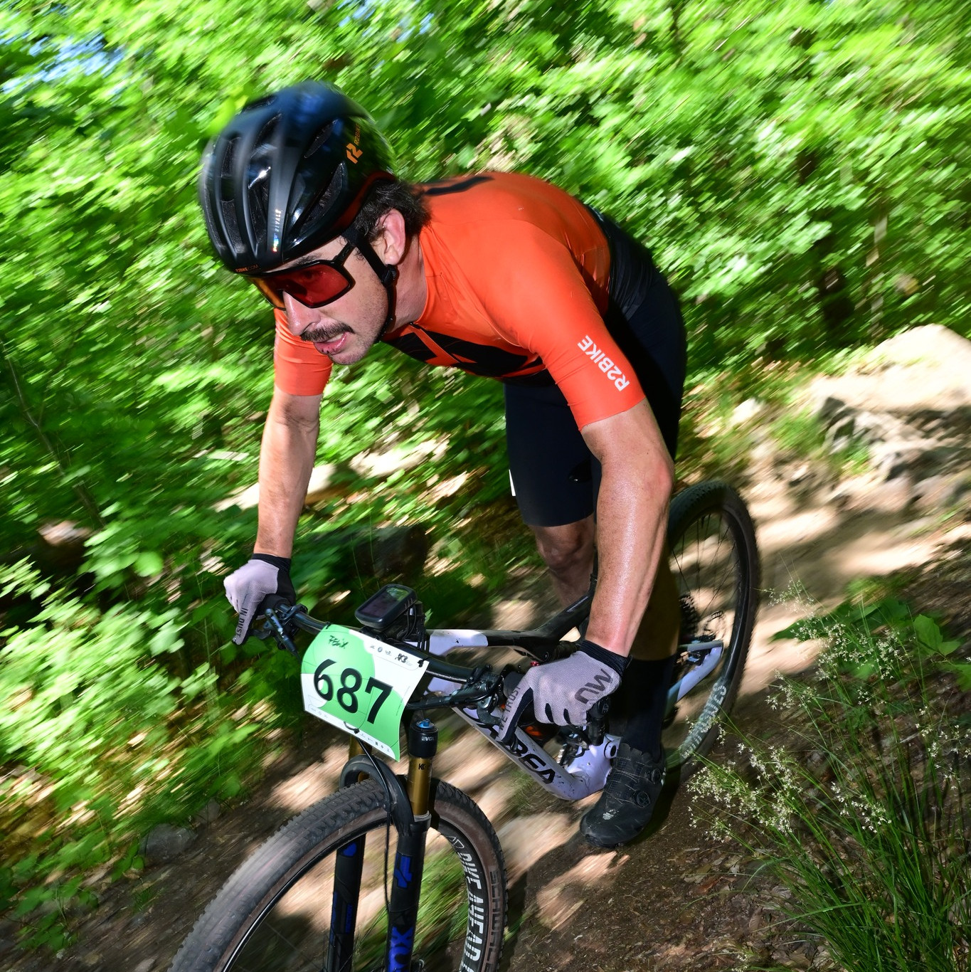 Mtb.felix