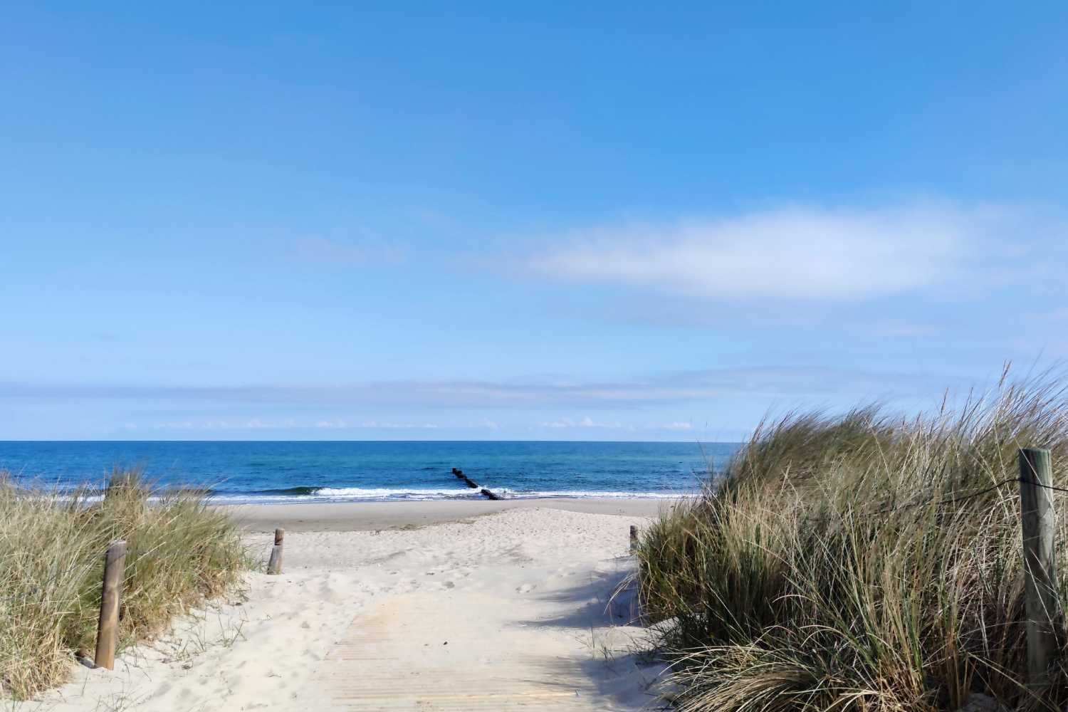 Bild 1: Busreise (1)