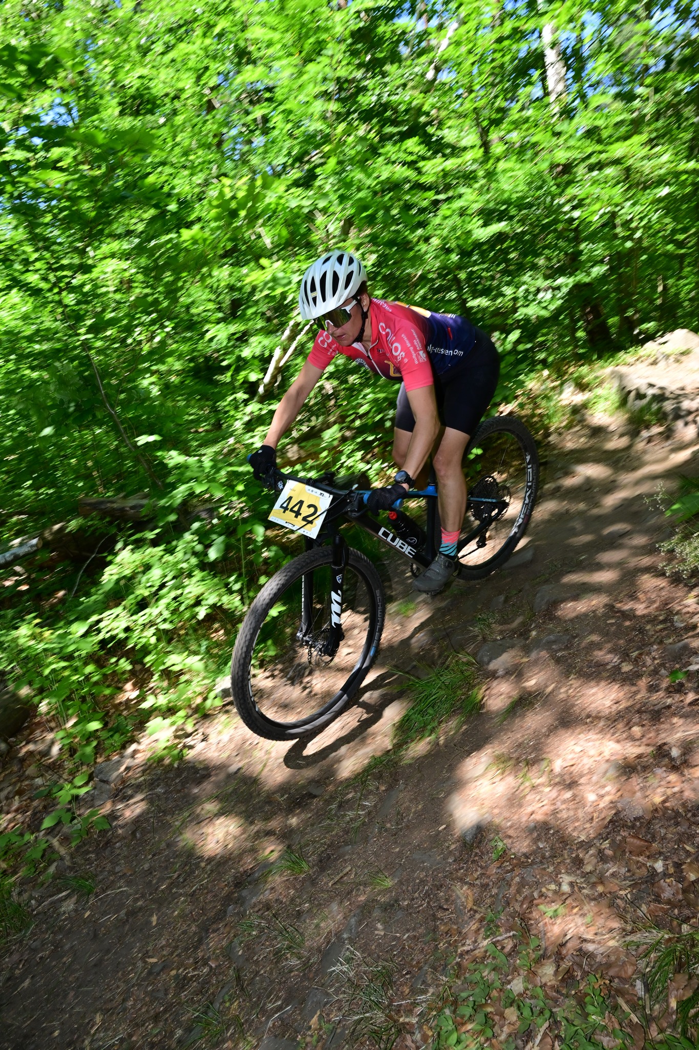 Bild 5: Mtb4
