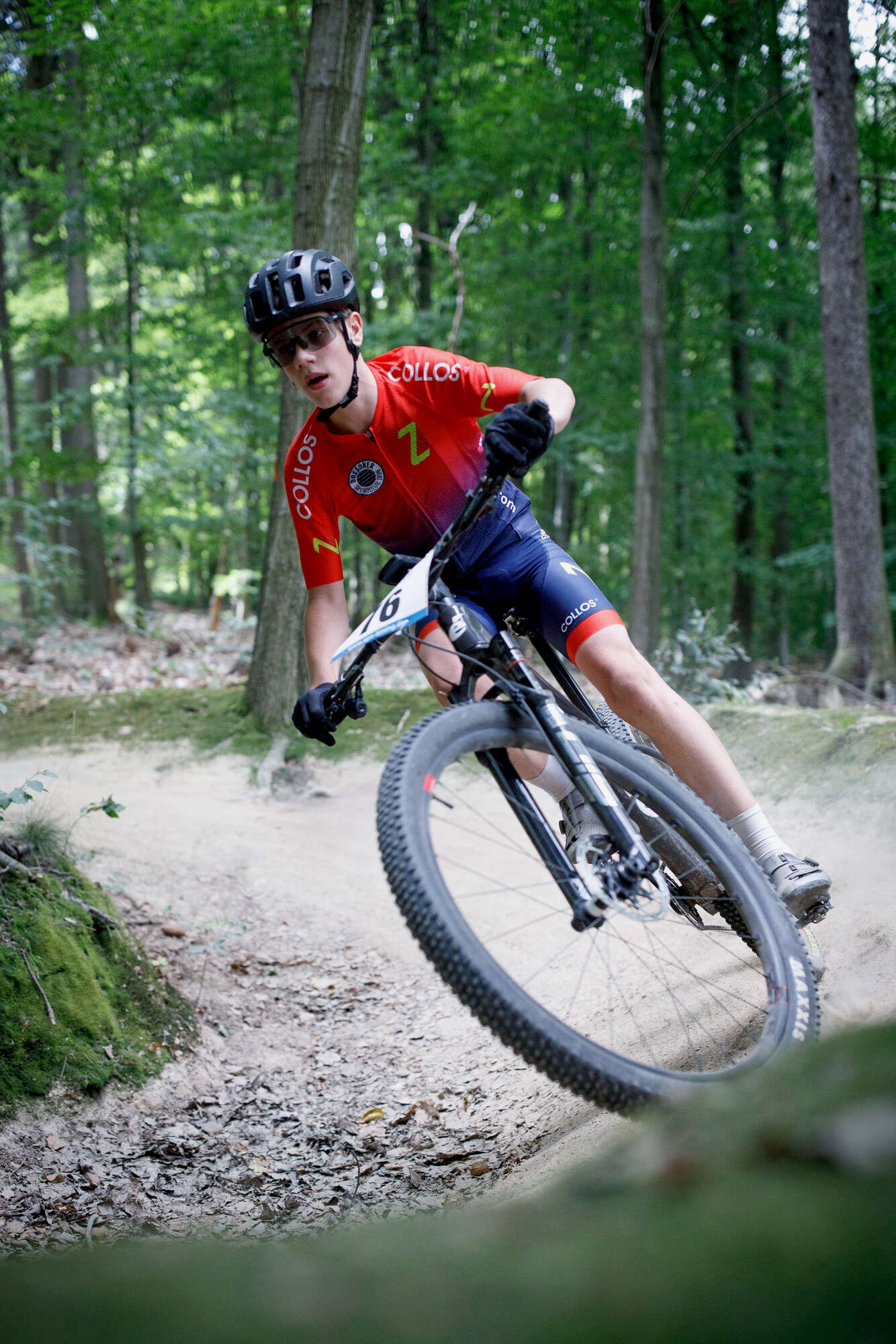 Bild 10: Bild8