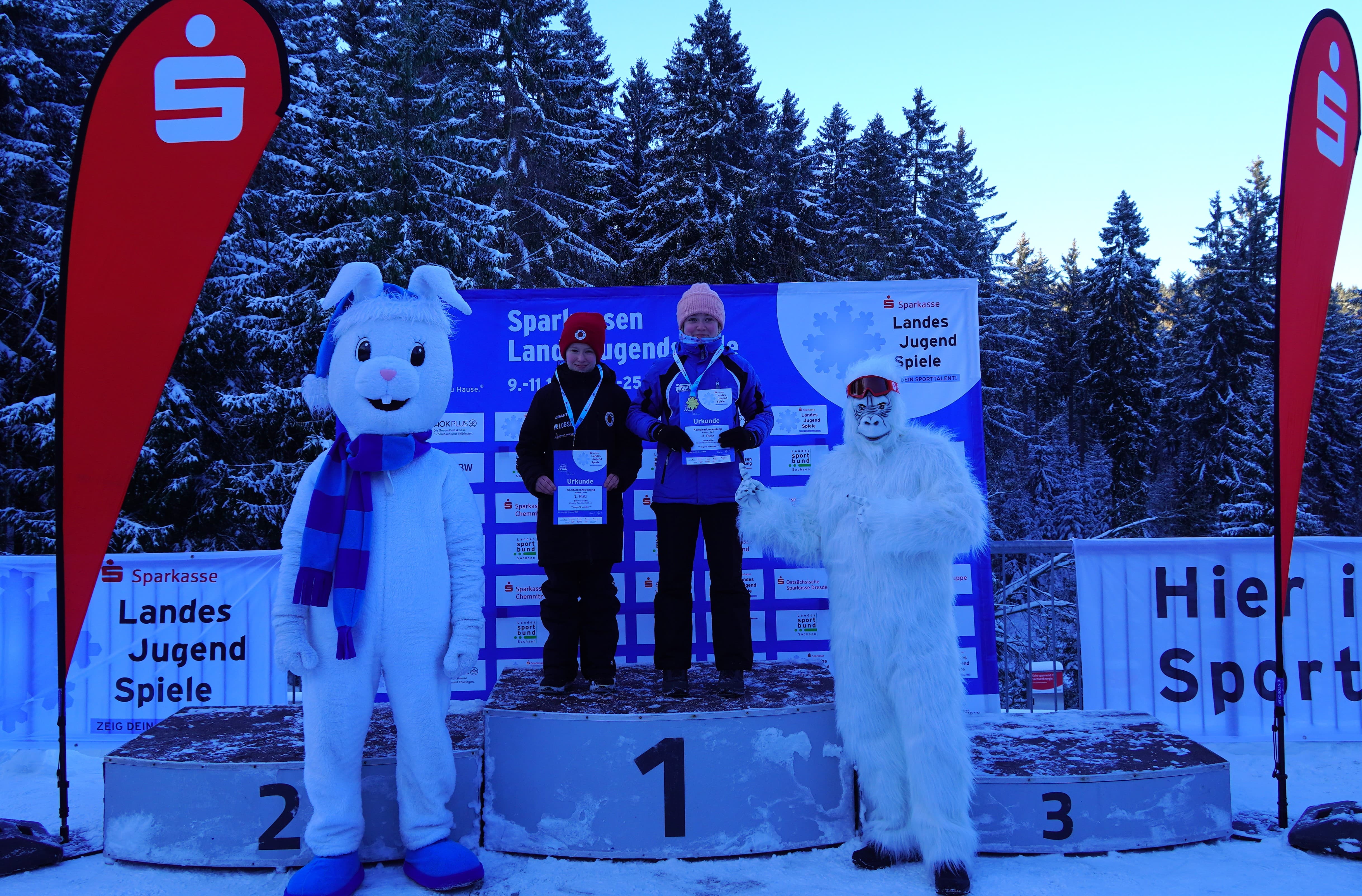 Bild 8: IMG 20260111 WA0143