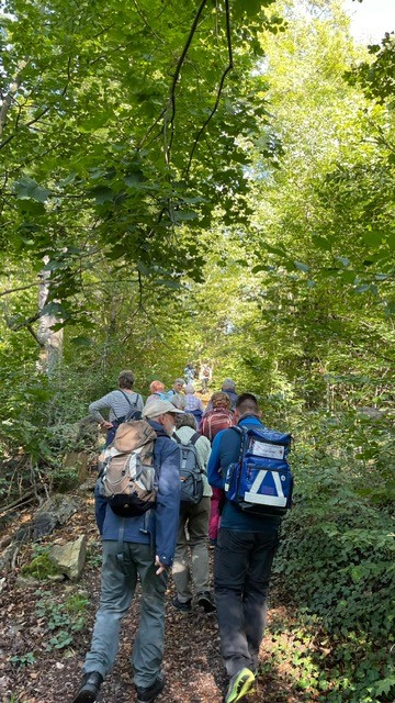 Bild 2: Wandertag3