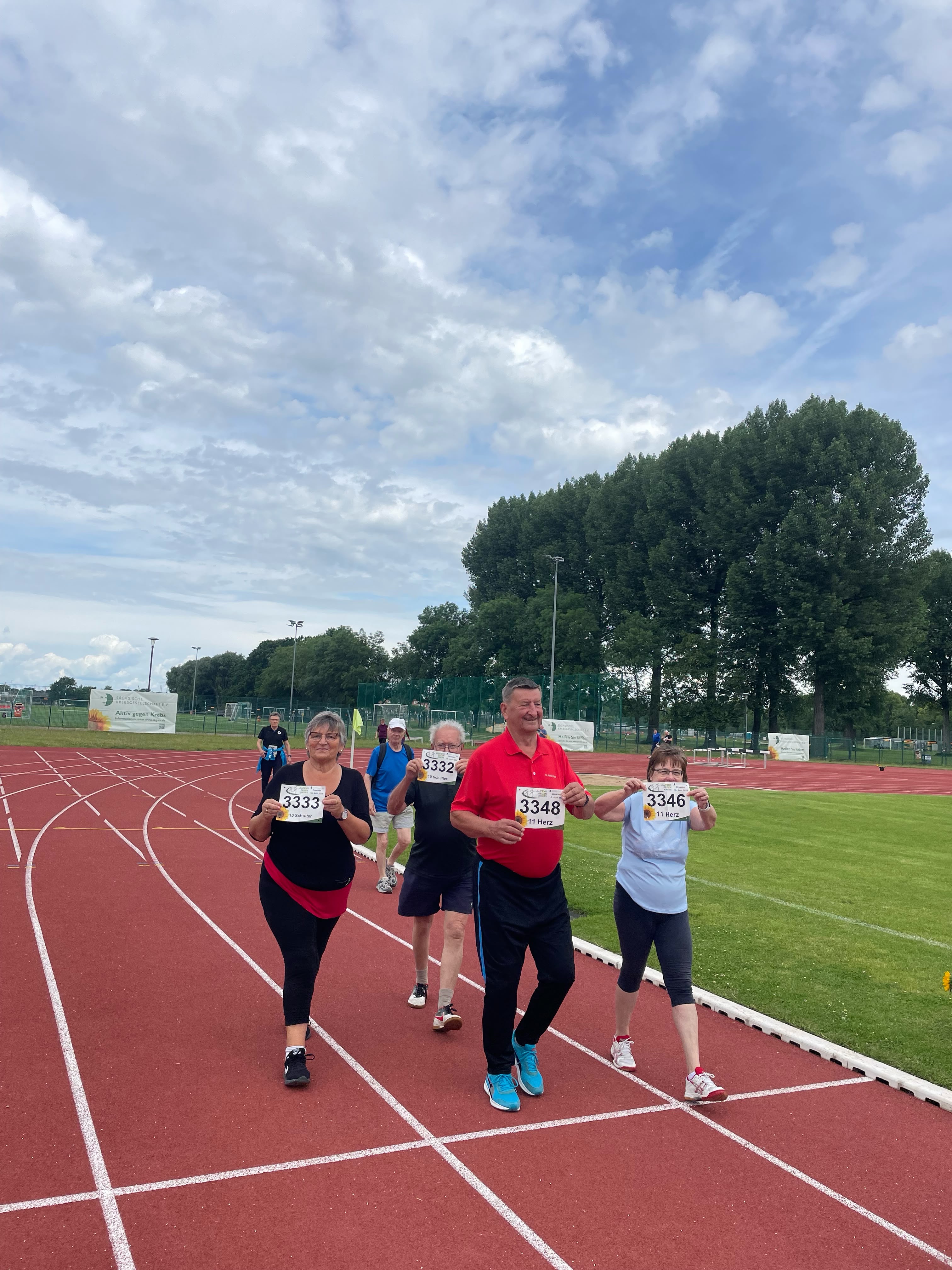 Bild 4: 4 Sonnenblumenlauf 26