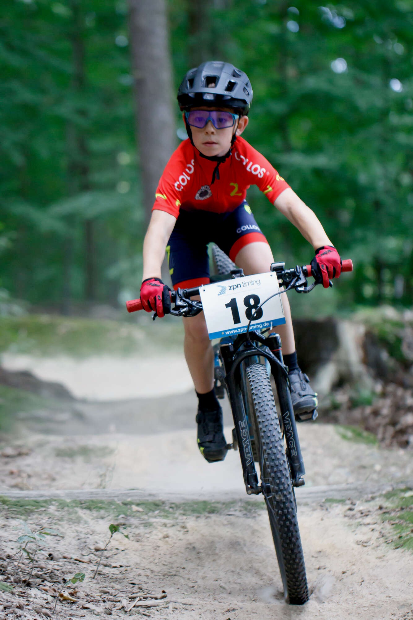 Bild 16: Bild17