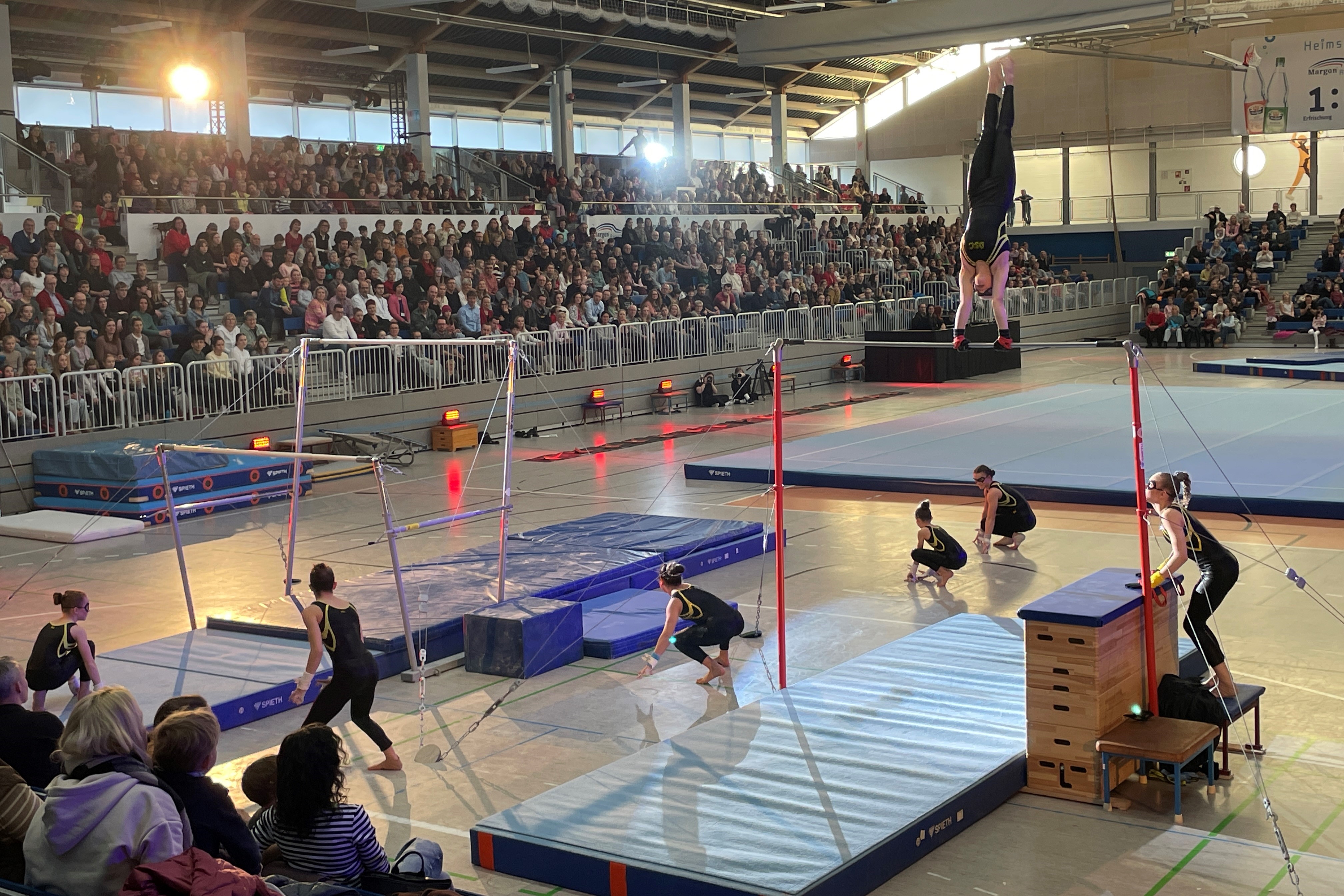 Bild 13: Gala.skadi3