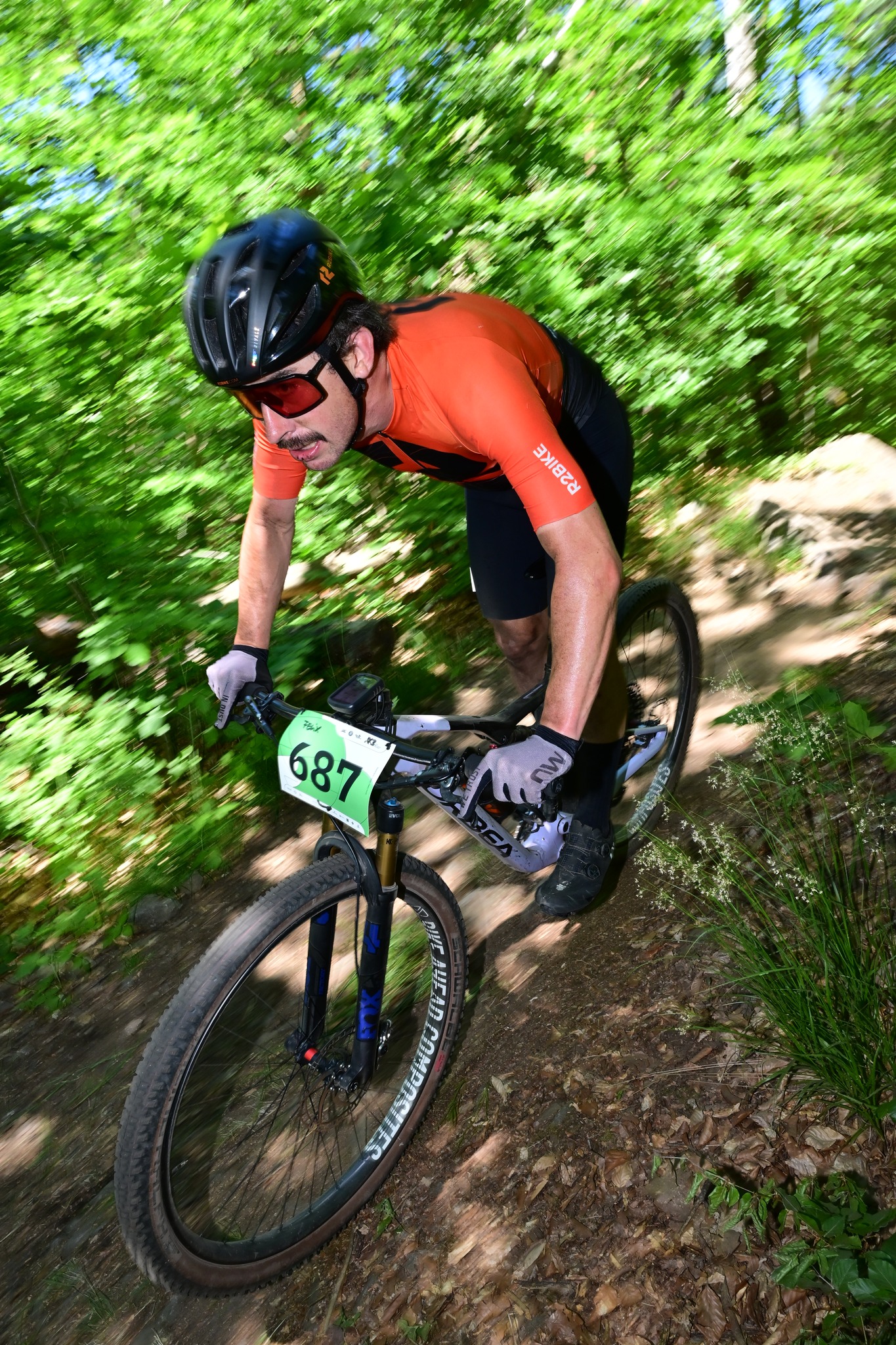 Bild 8: Mtb.felix